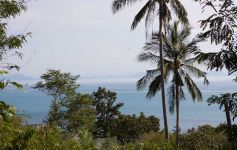 10 Rai of Sea View Land at Ban Makham, North-West Coast