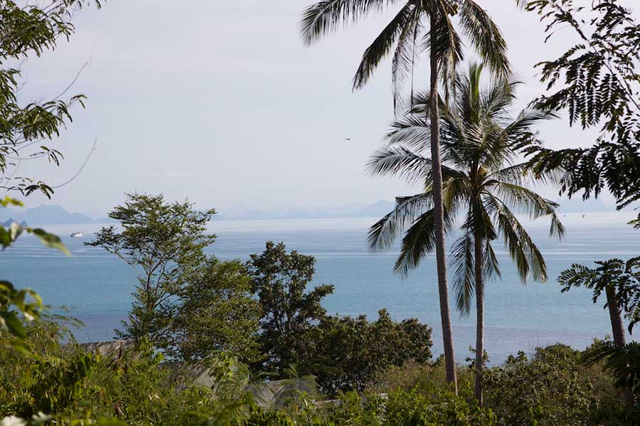 10 Rai of Sea View Land at Ban Makham, North-West Coast