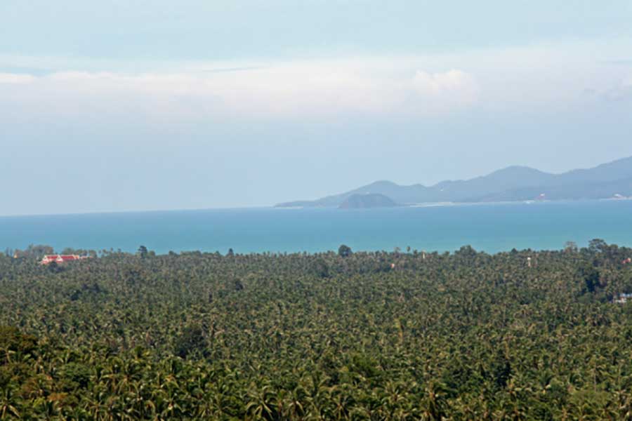 4,892 sqm of Sea View land, Maenam
