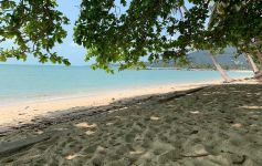 4,060 sqm of Premium Beachfront Land, Lamai