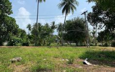 4,184 sqm of Commercial Development Land, Lamai