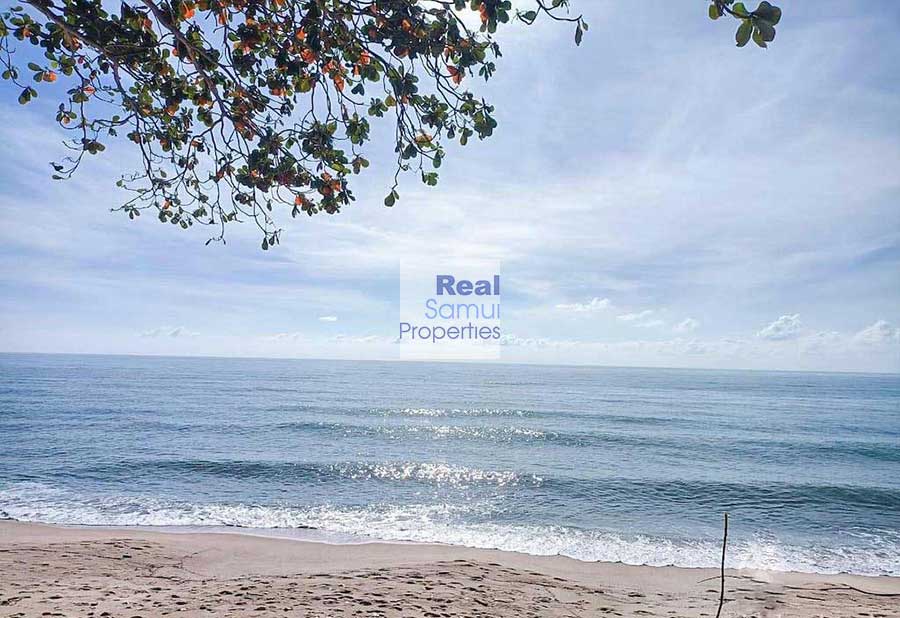 Freehold Resort on 6,792 Sqm of Premium Beach Land, Lamai