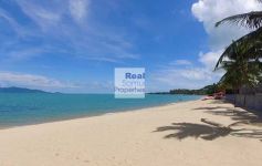 9 Rai of Pure Beach Land, Maenam