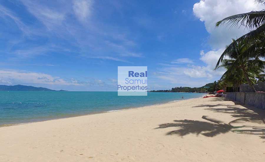 9 Rai of Pure Beach Land, Maenam