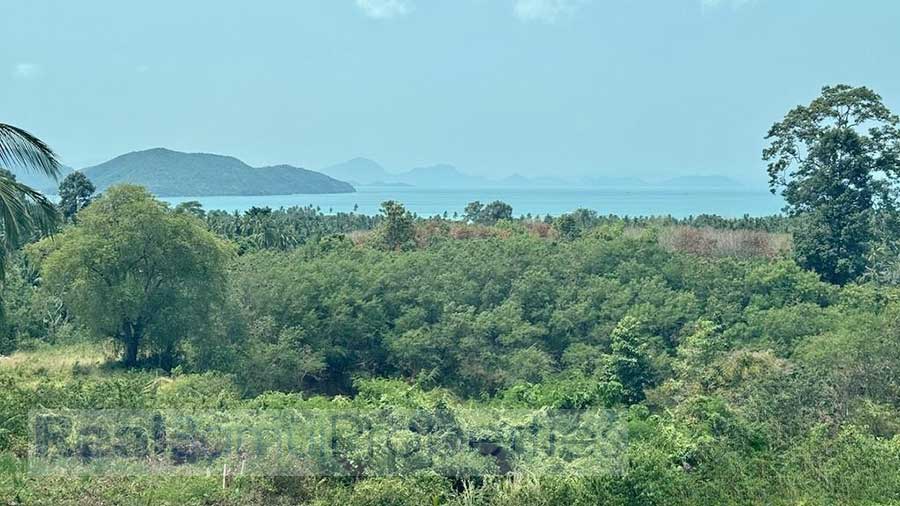 778 sqm of Sea View Land in Thong Krut