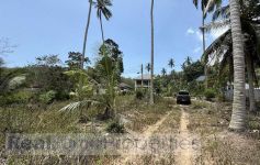 4,800 Sqm of Flat Land, Namuang