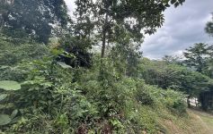 3,200 Sqm of Hillside View Land in Lamai