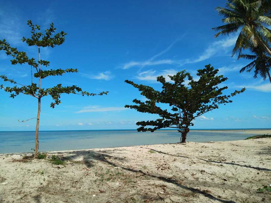 6.5 Rai of Absolute Beachfront Land, South Coast