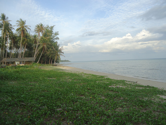 Beach Land For Sale Bang Khao Koh Samui