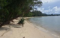 Pristine Beach Land at Lipa Noi