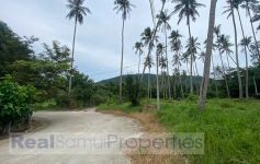 4,800 Sqm of Flat Land, Taling Ngam