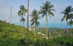 21,067 Sqm of Prime Sea View Land for Sale in Chaweng Hills