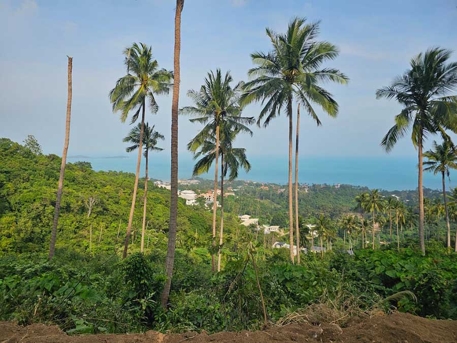 21,067 Sqm of Prime Sea View Land for Sale in Chaweng Hills