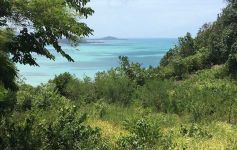 6,400 sqm of Sea View Land at Plai Laem