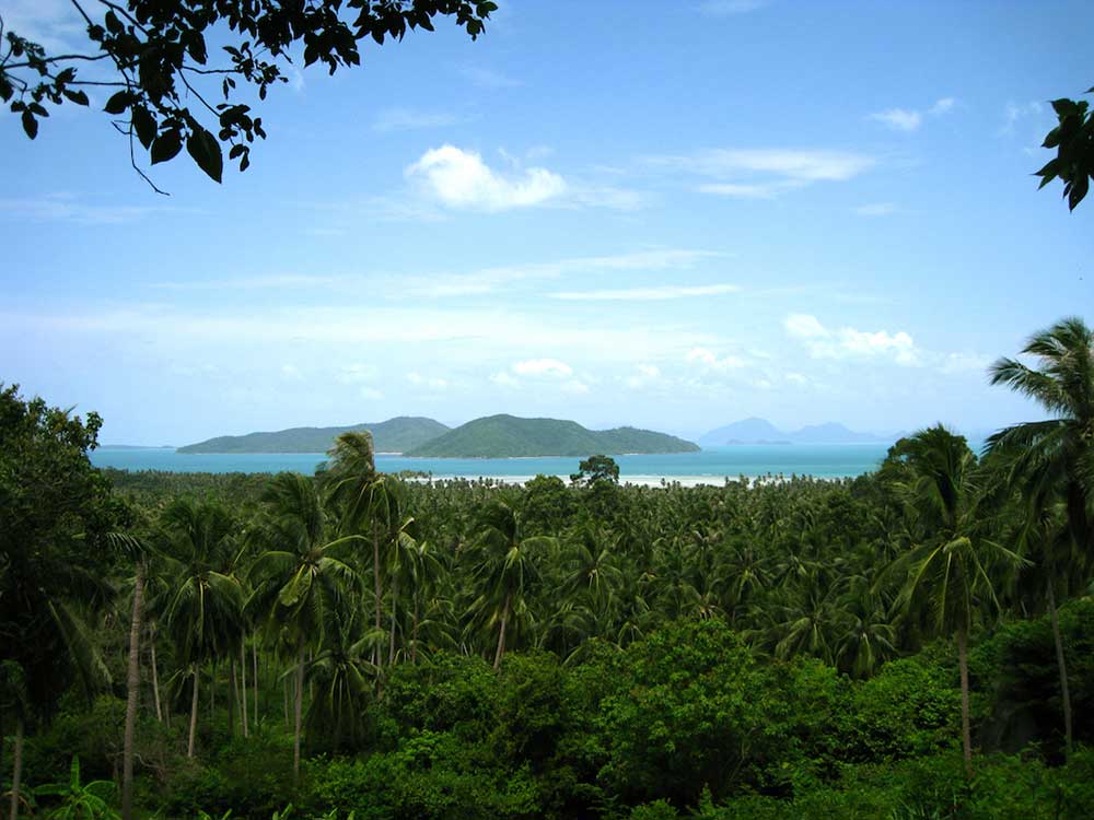4 Rai of Stunning Sea View Land – Thong Krut, South Koh Samui