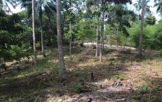 Flat Land – 1 Rai by The Jungle Club, Chaweng Noi