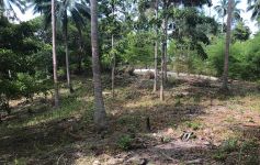 Flat Land â€“ 1 Rai by The Jungle Club, Chaweng Noi