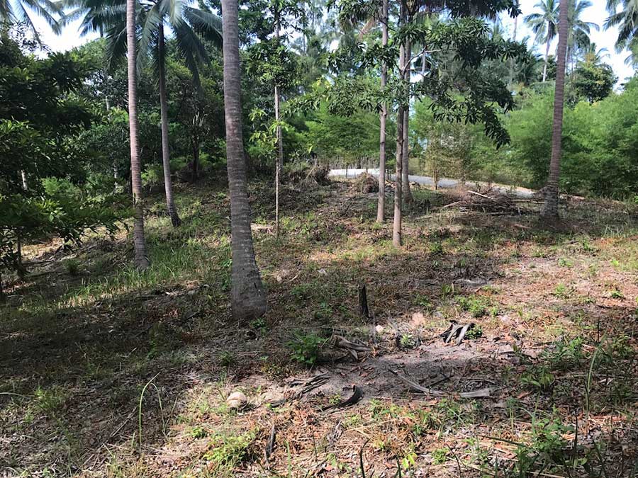 Flat Land â€“ 1 Rai by The Jungle Club, Chaweng Noi